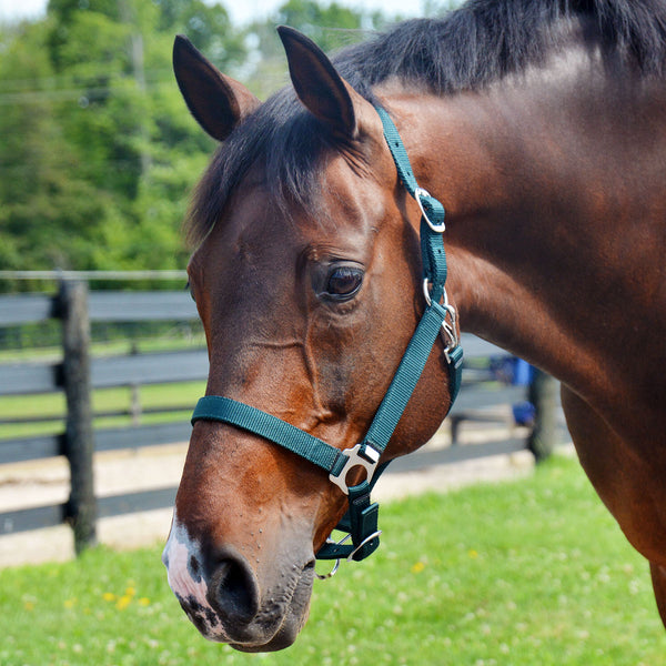 Country Pride Deluxe Poly Halter